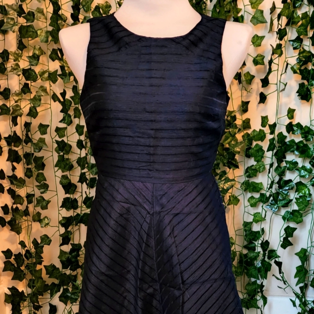 BRFS fit and flare dress